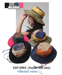 CAP-2004